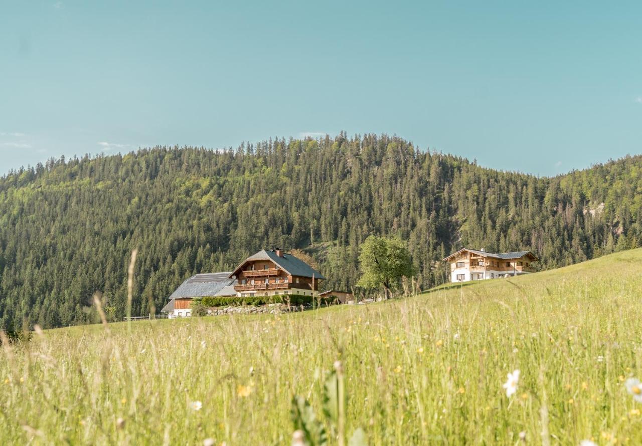 Bio Bauernhof Oberhinterberg Appartement Annaberg im Lammertal Kültér fotó